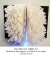 isabelle-cercle - Art-Papier
